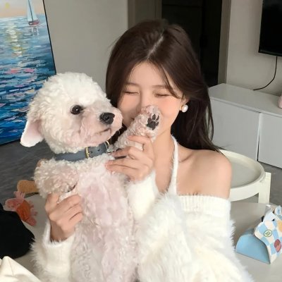 穿书自救指南第一季